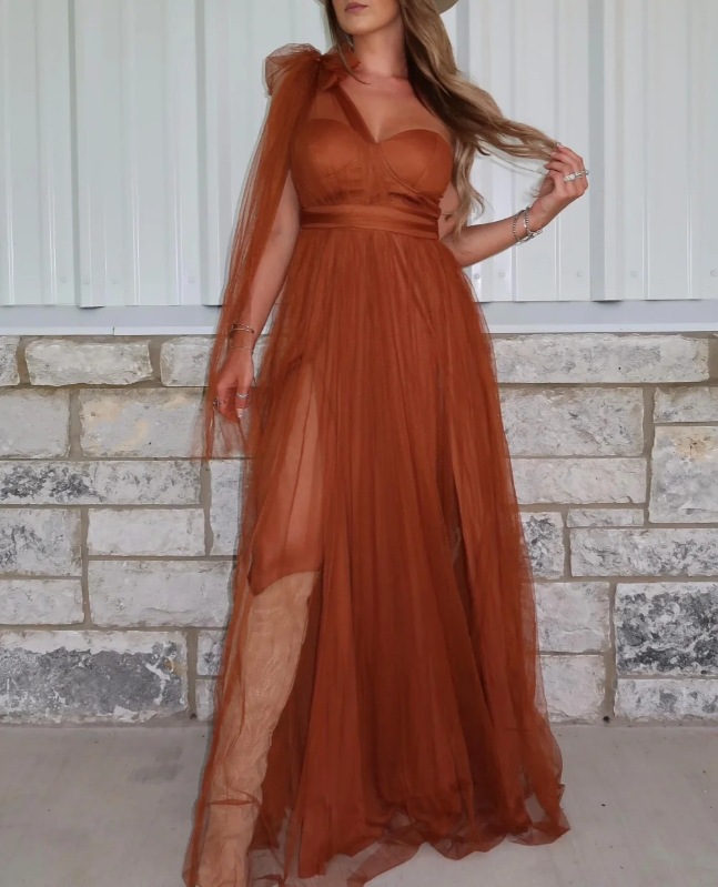 Mesh Panel Halter Maxi Dress with Open Back