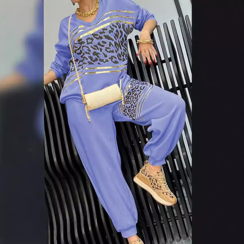 Leopard Print Gold-Stamped Hoodie & Pants Two-Piece Set, Loose Fit