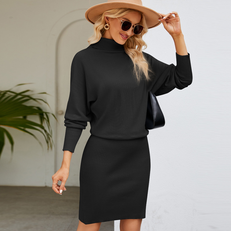 Solid Long Knit Bodycon Dress with High Neck