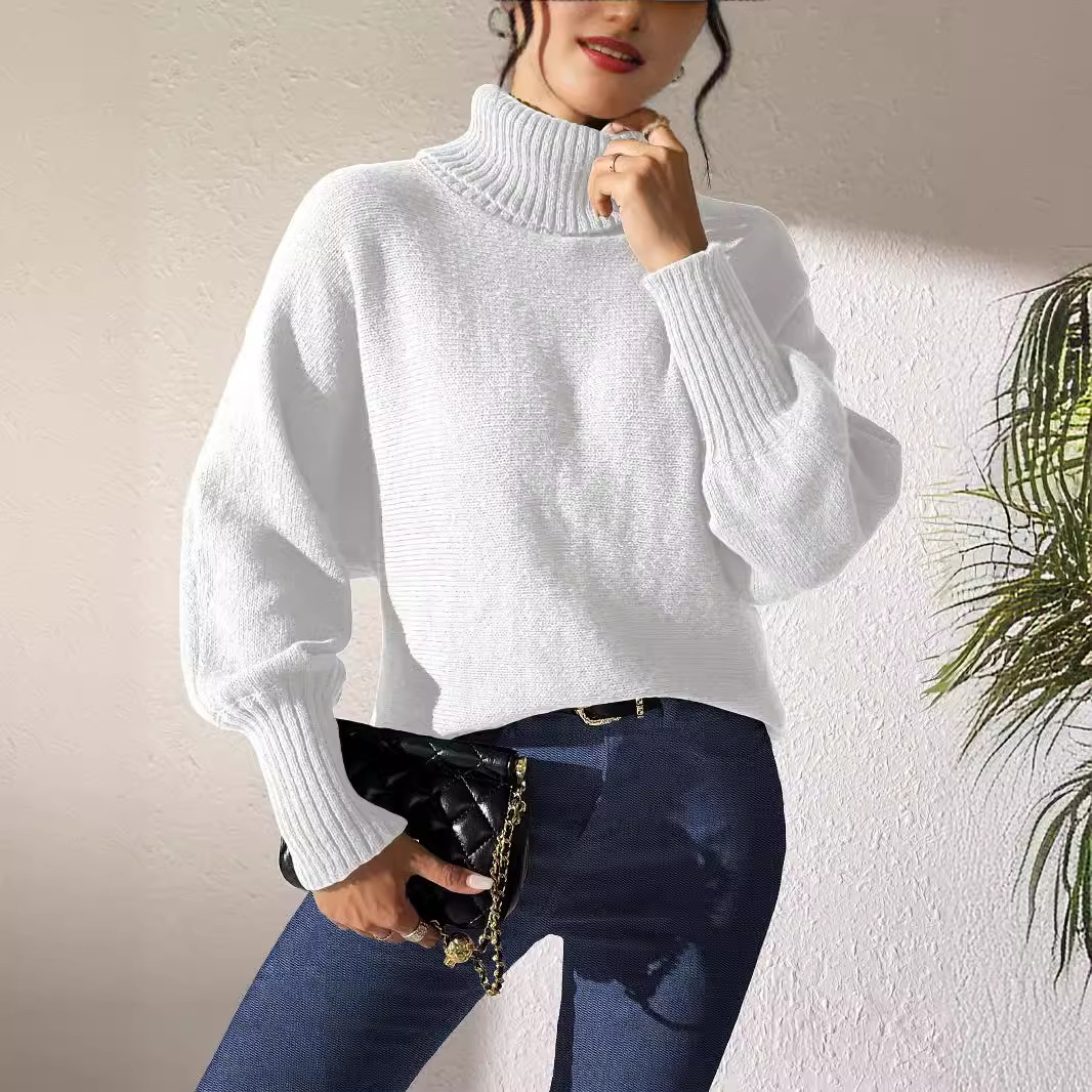 Women's Turtleneck Batwing Sleeve Pullover Sweater Solid Color Minimalist