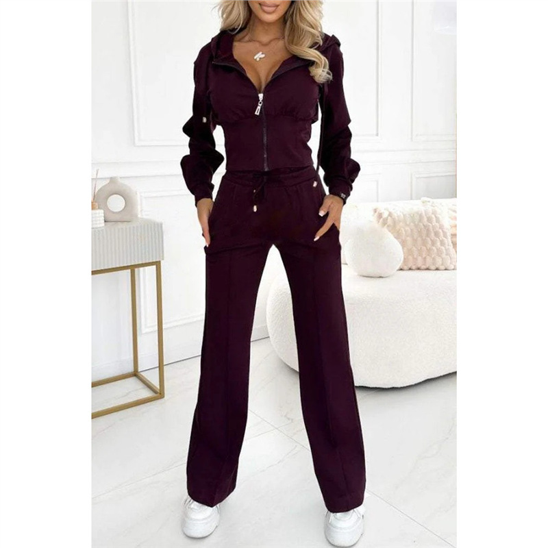 Hooded Zip-Up Slim Fit Two-Piece Sweatsuit Set