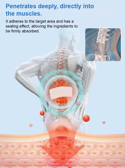Moxibustion plaster for whole body