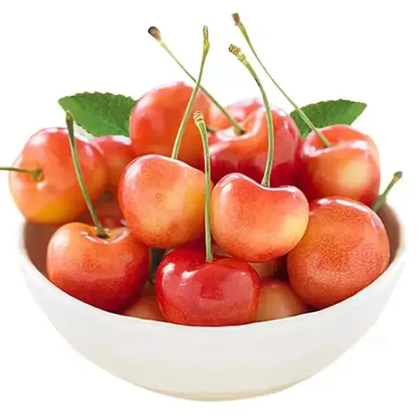 Semienka zlatej čerešne 🍒🌟