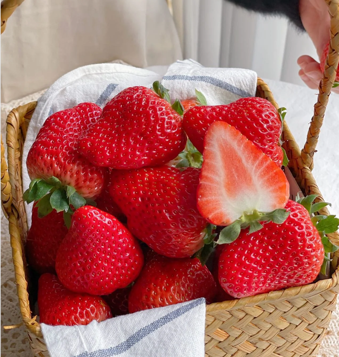 🍓Latest Four Seasons First Love Strawberry Seeds—Year-Round Harvest