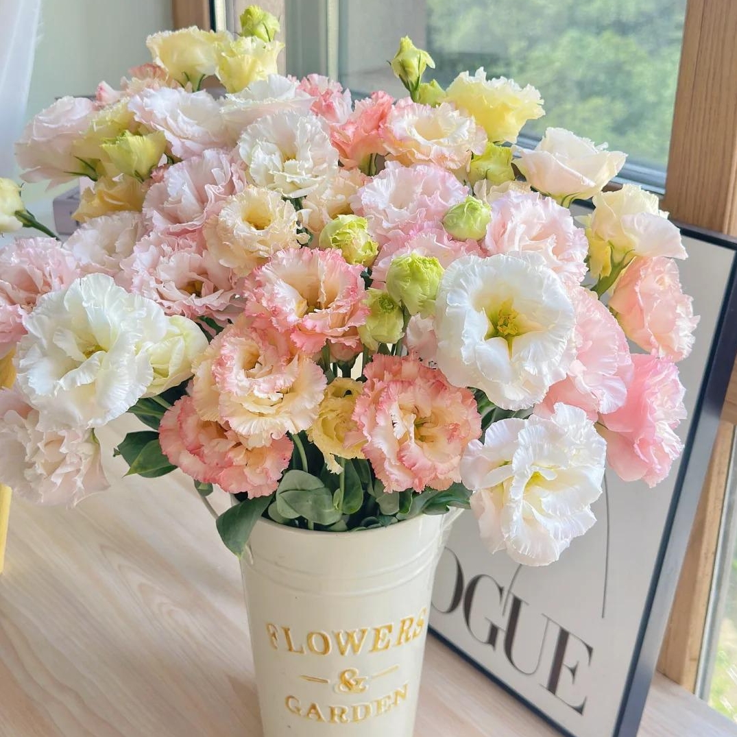 🌸 Lisianthus — The Rose Upgrade