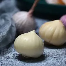 Semená cesnaku Solo