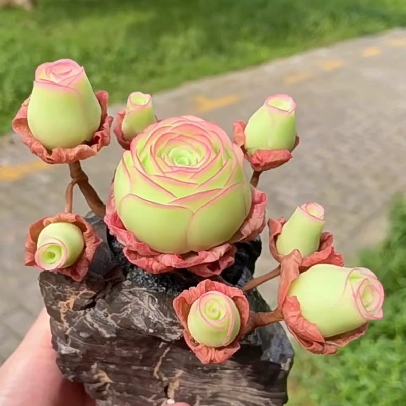 🌱🌹Планинска роза: Красота, която никога не увяхва, дори за начинаещи в света на острието!🌺