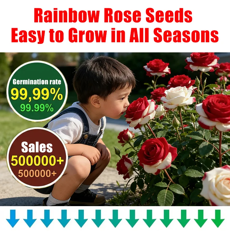 Elegancka bluzka z bawełny i lnu ze stójką i metalowymi guzikami