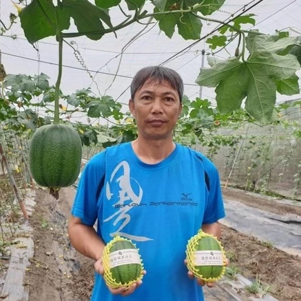 Taiwan Apple PatolaPrémiové semená – Vysoká klíčivosť