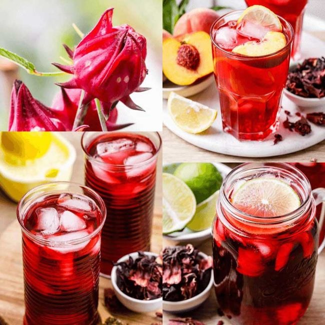 Roselle seeds,Easy to sow – quick to germinate – blooms early – beautiful flowers that are delicious and rich in vitamins.
