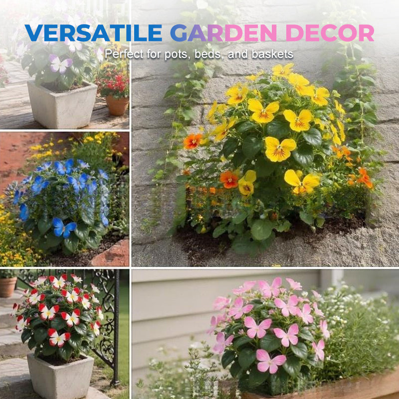 🦋 Семена от цветя с причудлива форма на пеперуда ✨