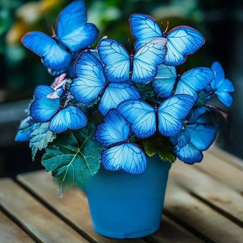 🦋 Семена от цветя с причудлива форма на пеперуда ✨