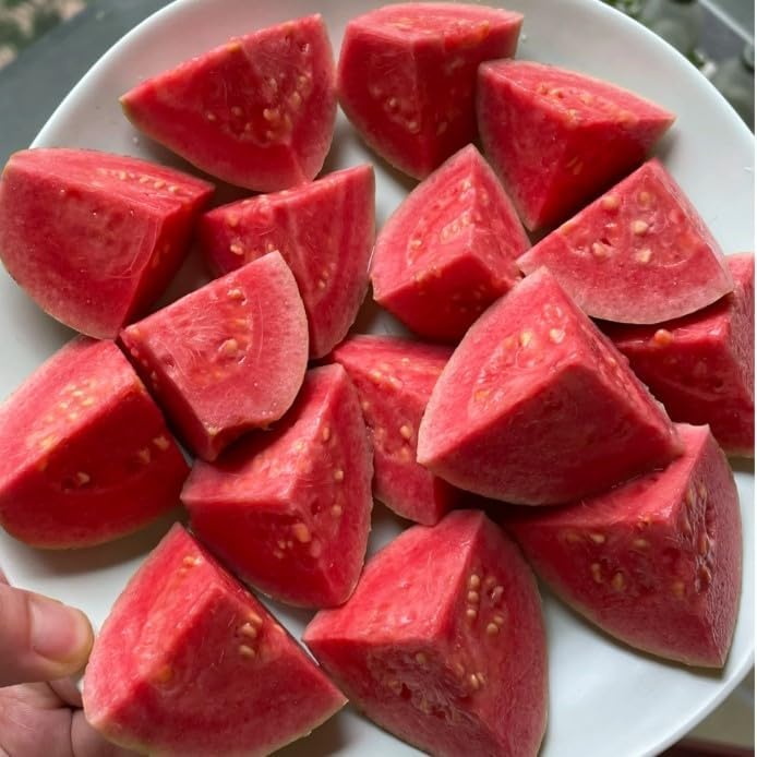 🔥Časovo obmedzená zľava🎁Tropická jahodová guava Organické ružové guava semená