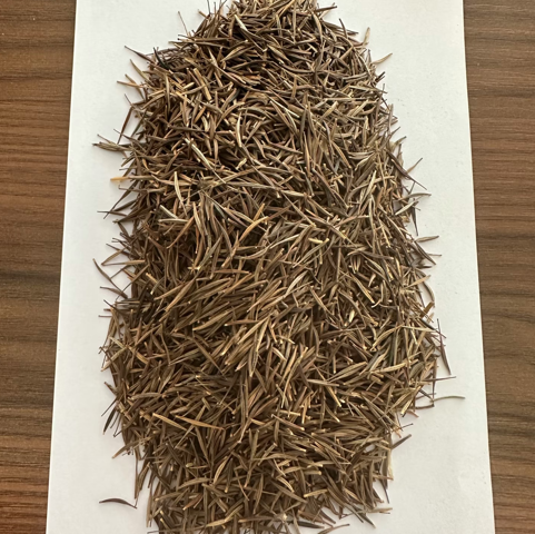 Cosmos Potted Flower Seeds