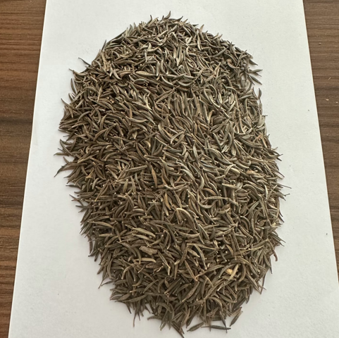 Sunflower, Italian White