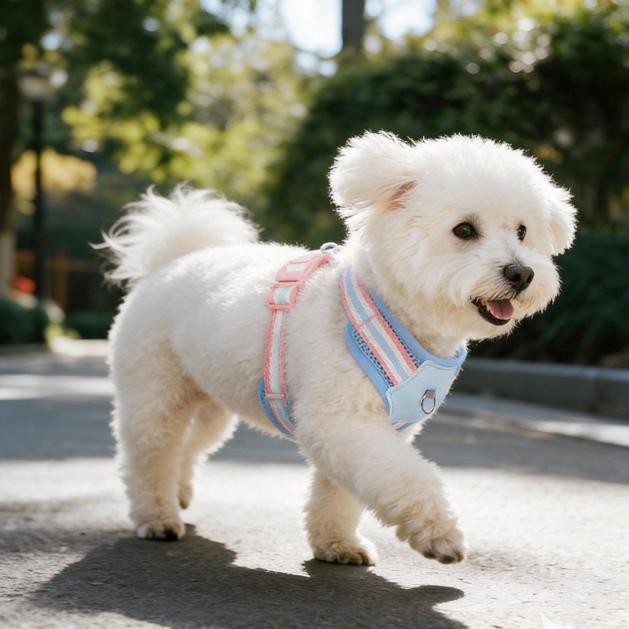 "Little Monster" 3D Plush Dog Harness and Leash Set | Breathable Mesh Vest for Small and Medium Dogs