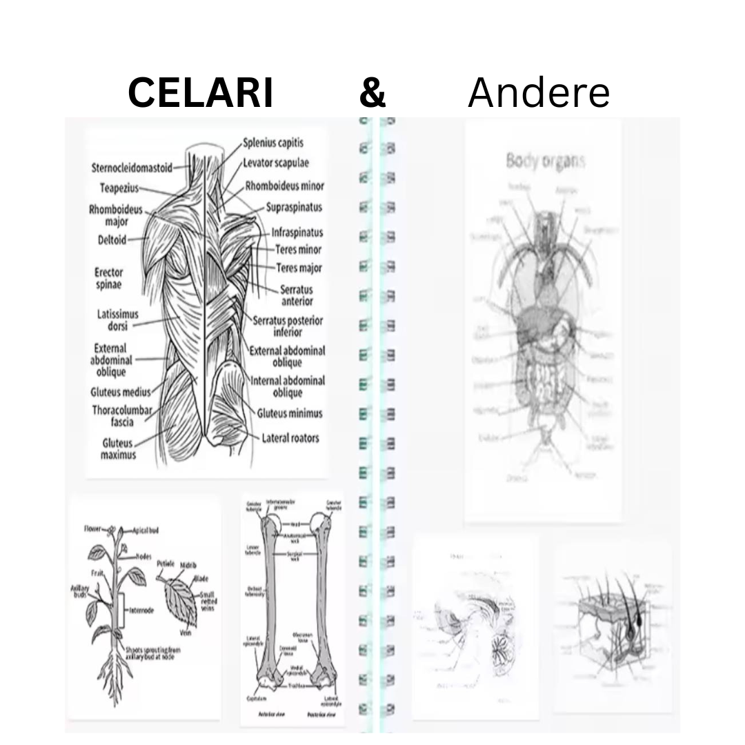 Print Pix — Print Anywhere, Anytime