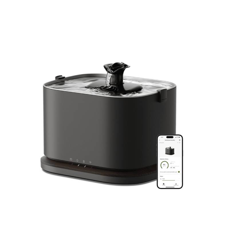 Smart Fountain