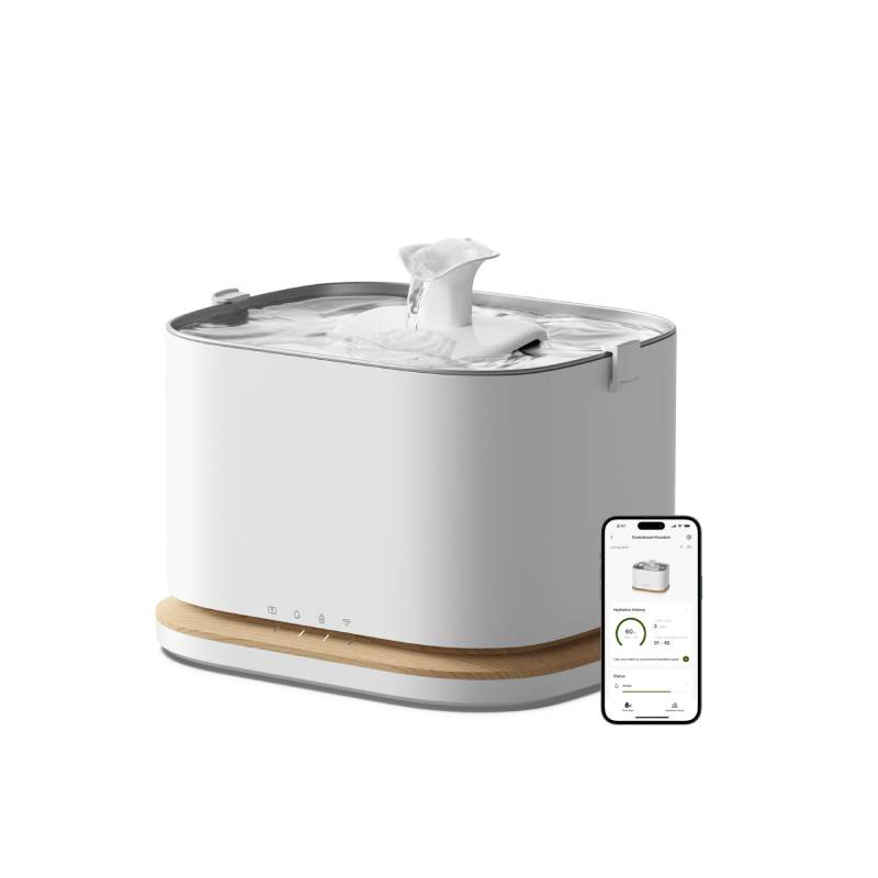 Smart Fountain
