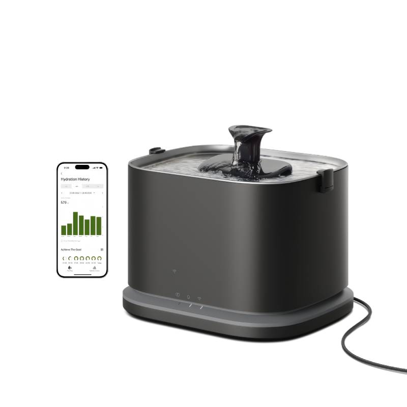 Smart Fountain