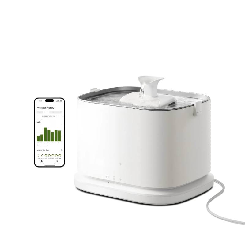 Smart Fountain