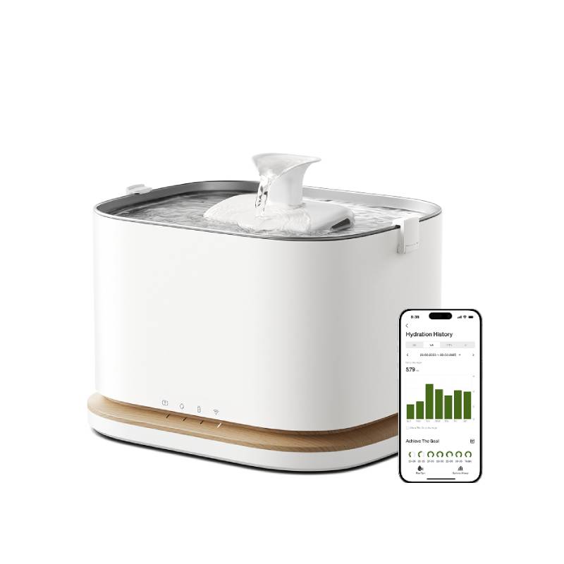 Smart Fountain