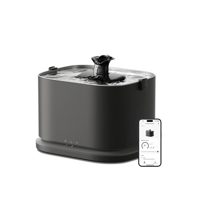 Smart Fountain
