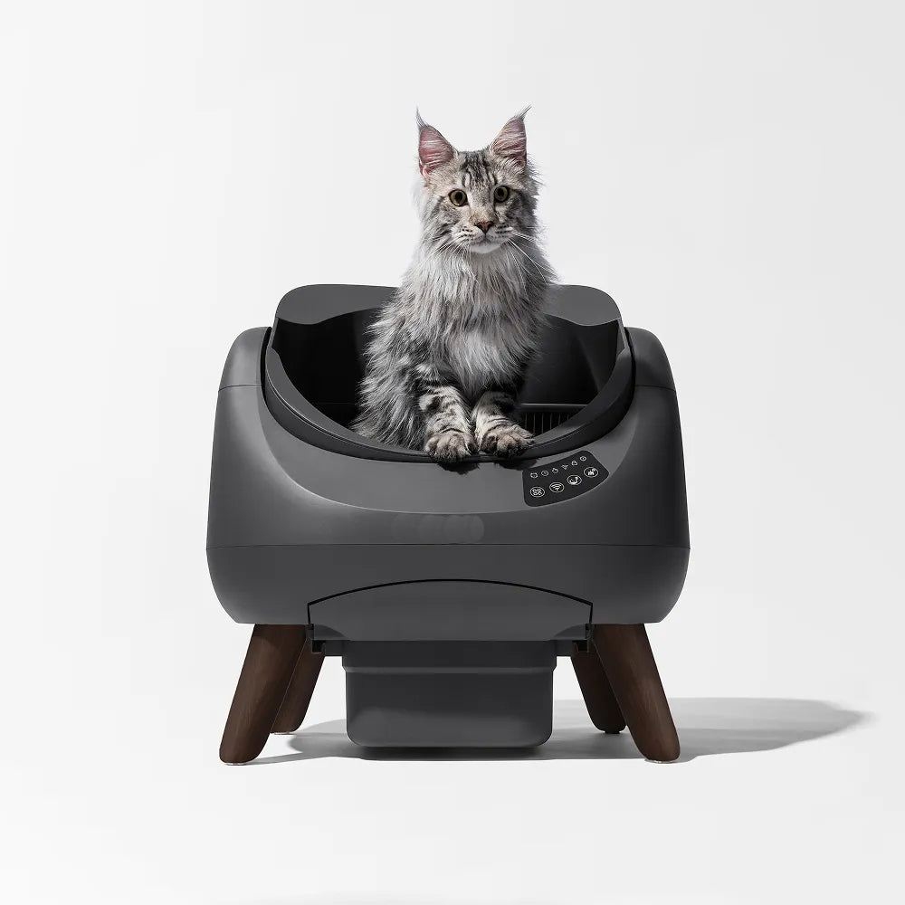 Self-Cleaning Litter Box - Multi-Cat