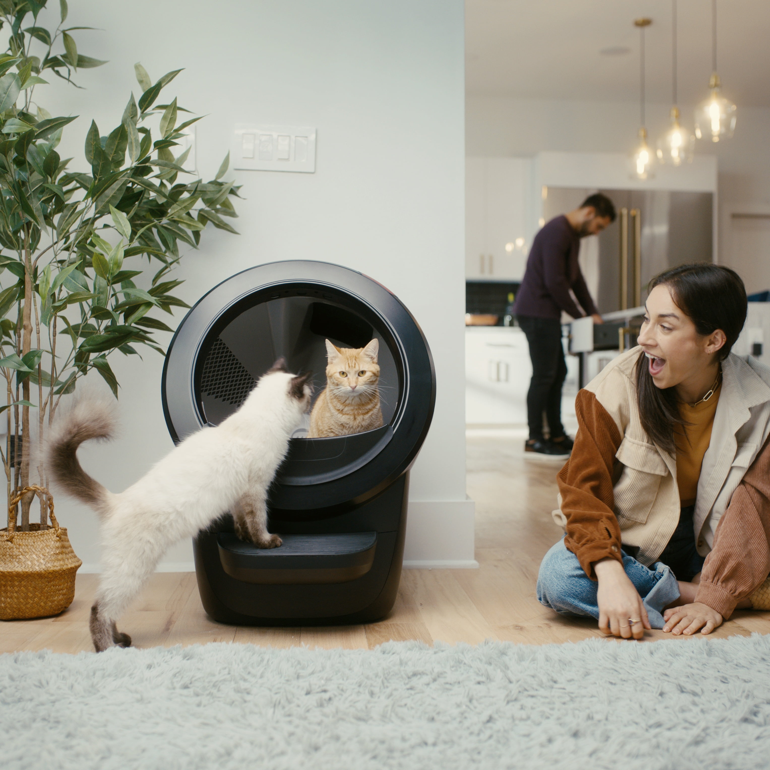 Self-Cleaning Cat Litter Box with Accessories, Black