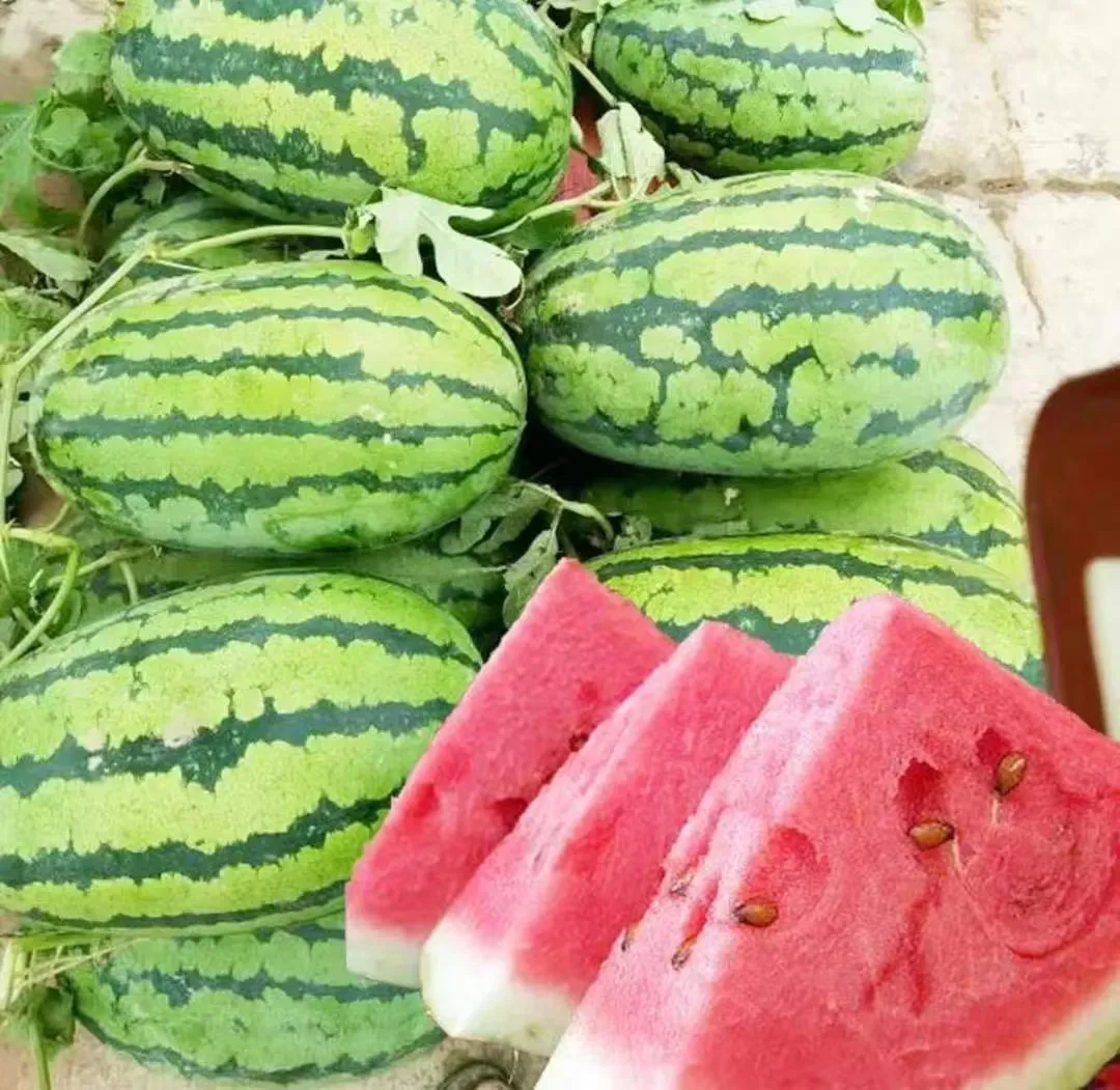 Semená melónu bonsai 🍉Semená melónu lenivých rastlín