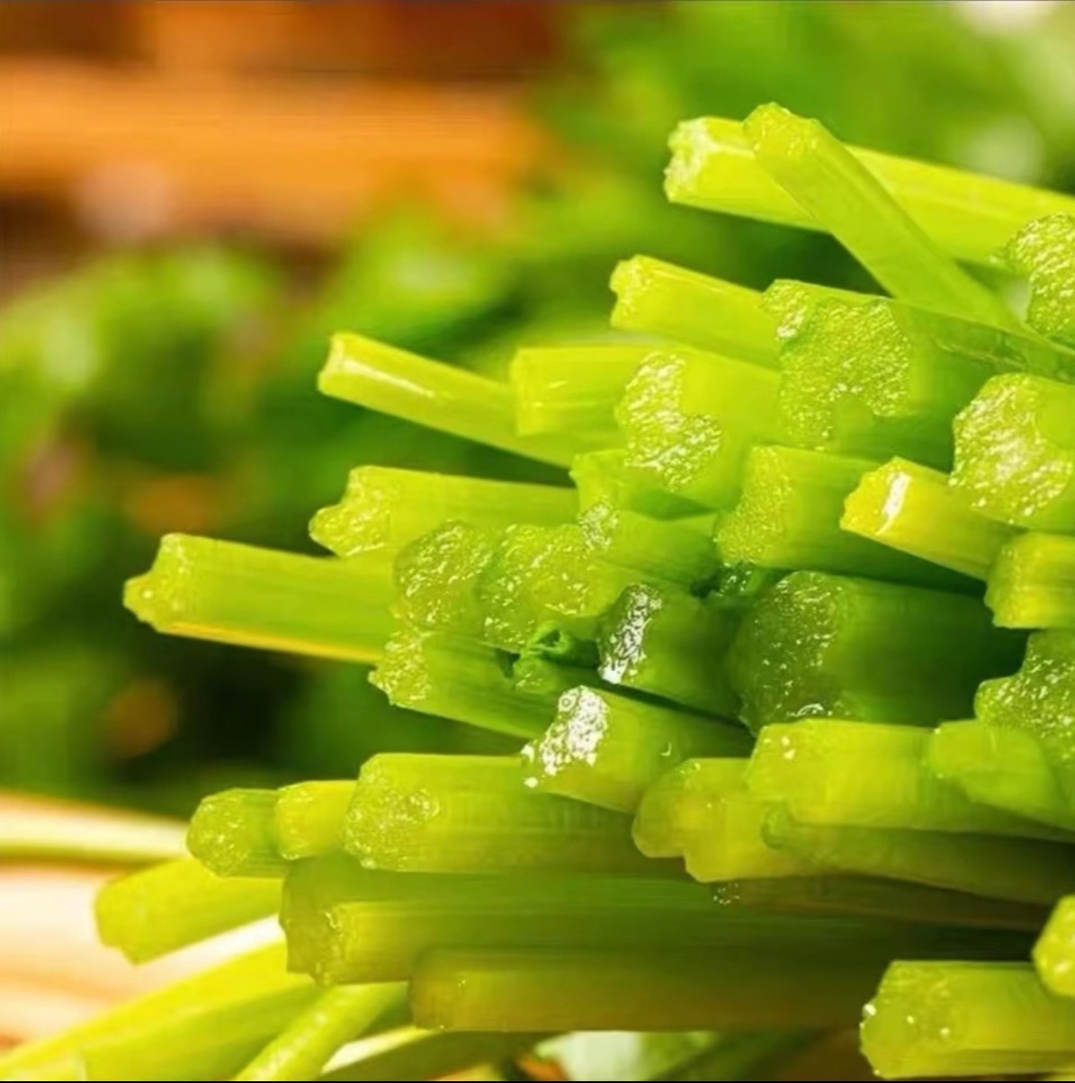 🥬 Zeler & Petržlen – Svieže, Chrumkavé a Aromatické Semená, Ktoré Môžete Pestovať Celoročne!