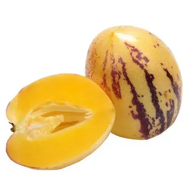 🌿 Semená plodu ženšenu – jednoduché pestovanie 🌱