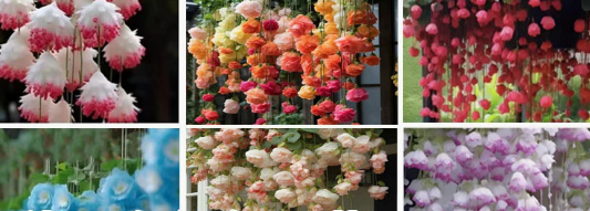 🌸 Elegantná previsnutá okrasná jabloň – romantická krása pre vašu záhradu 🌿