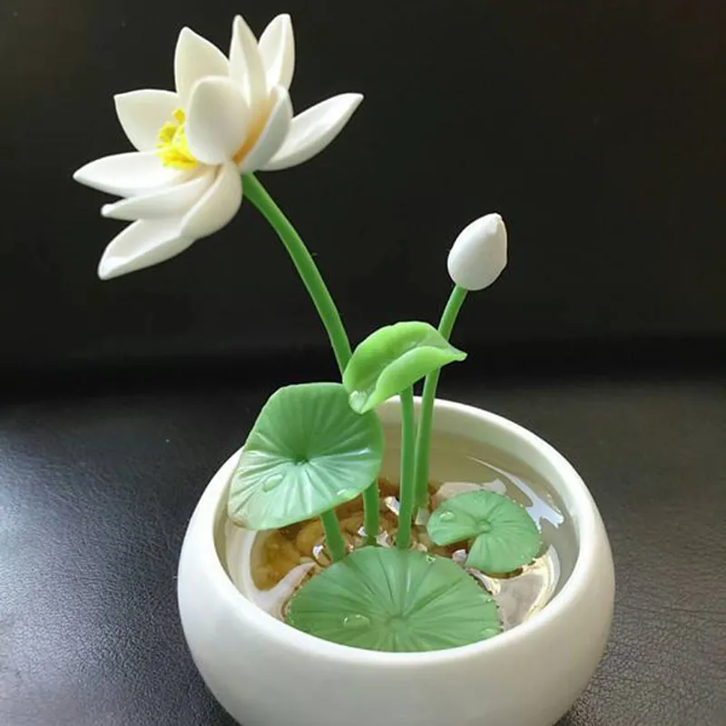 🌺 Ľahko pestovateľné semienka lekna (lotosu), vhodné na výsadbu v akomkoľvek ročnom období 🌿