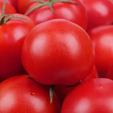 🍅 Балконски чери домати –лесни за отглеждане целогодишно✨