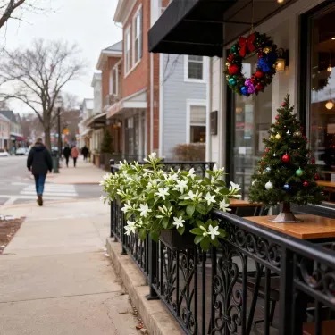 🌿❄️ Semená jazmínu s polnočnou vôňou – zimná výsadba, trvalé kvety a voňavá elegancia do záhrady 🌸