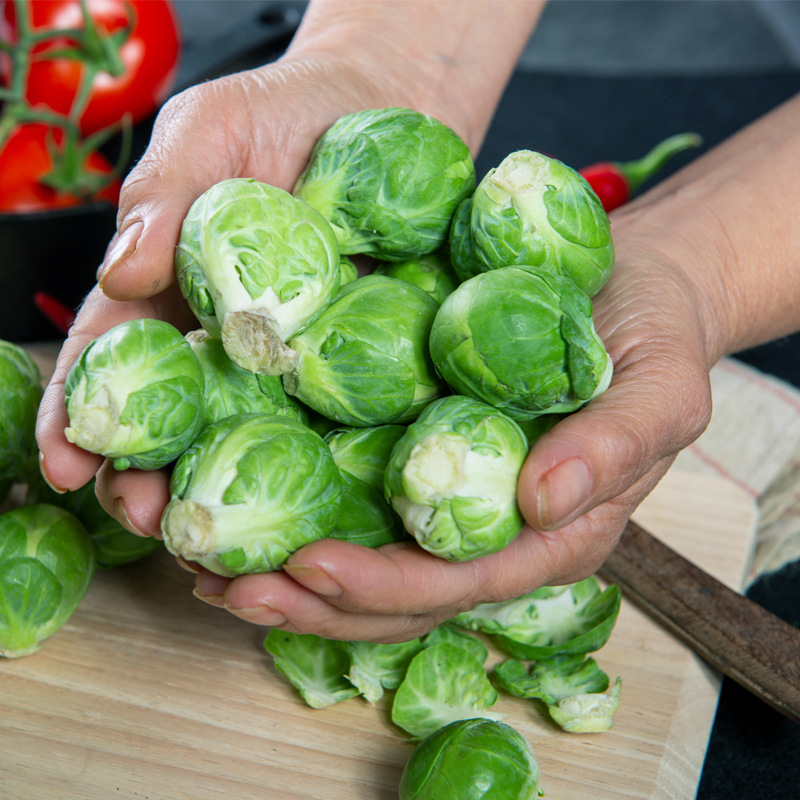 Mini kapustové semienka