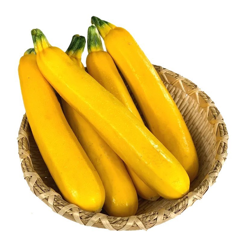 Semena Cukety F1 Superplodné – Hromadné plodenie, bez GMO