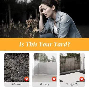 🌹 Zmiešané farebné semená dvojkvetej machovej ruže – Pestrofarebná krása s bohatými kvetmi 🌸✨