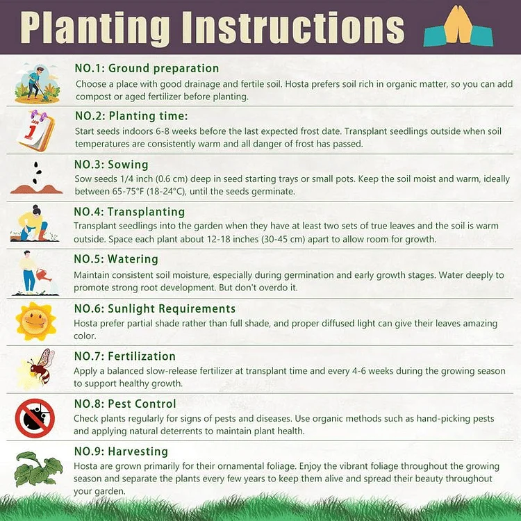 🏆 Predaných viac ako 75 000 balíčkov! 🌿 Vzácne semená hosty 🎁 Špeciálna ponuka 2026