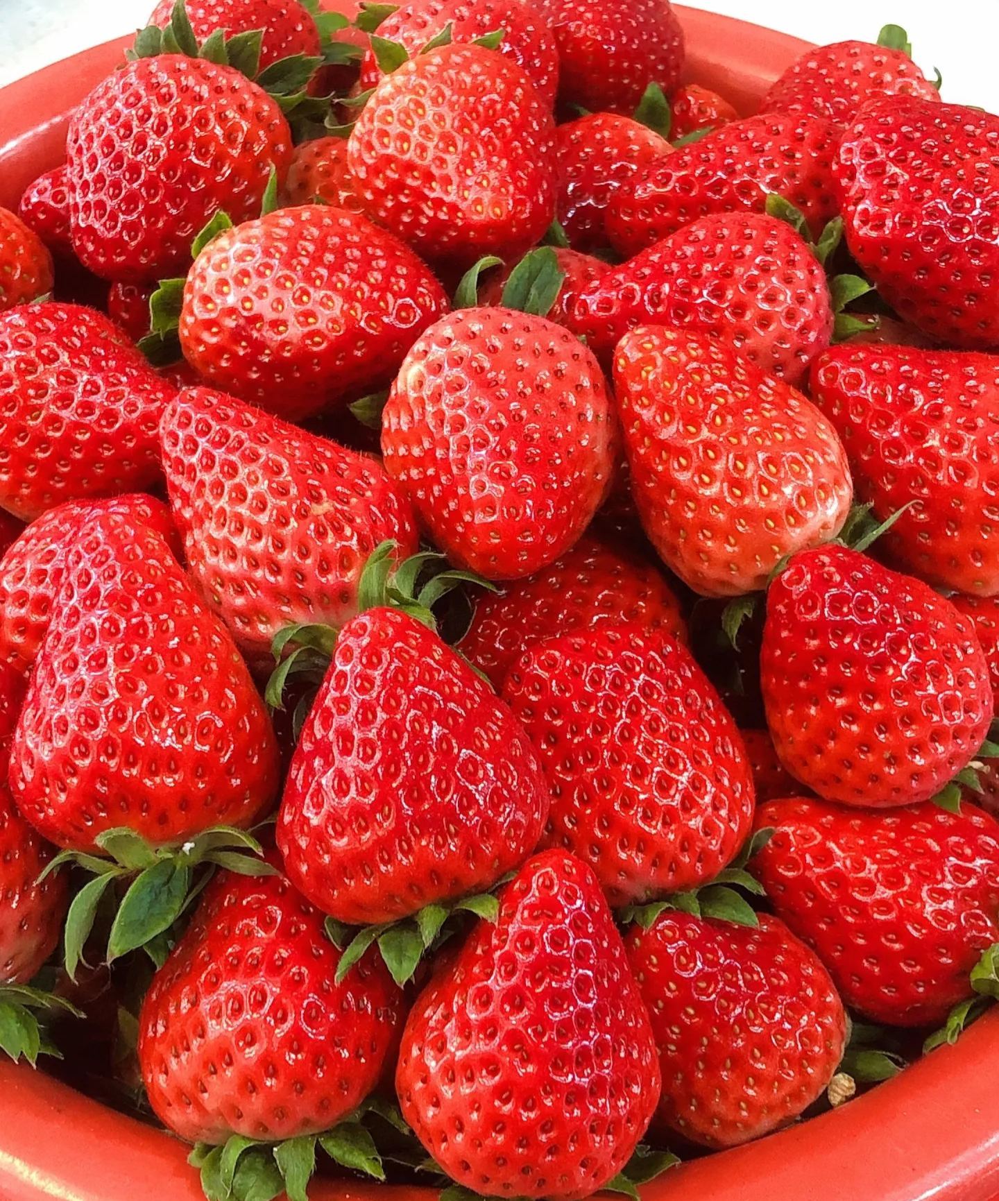 🏆🏆 Najpredávanejší TOP 1!🍓 Jahody, ktoré môžete pestovať celoročne – zvládne ich aj začiatočník a bohato rodia!(Časovo obmedzená ponuka: hnojivo zadarmo)