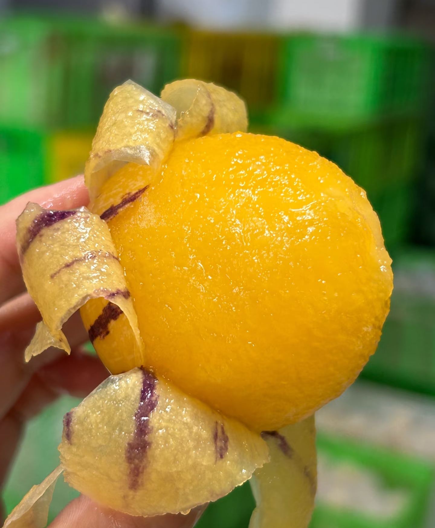 🏆🏆 Najpredávanejší TOP 1!🌿✨(Časovo obmedzená ponuka: hnojivo zadarmo) Semená ženšenu: Objavte silu prírody vo svojej záhrade! 🔥