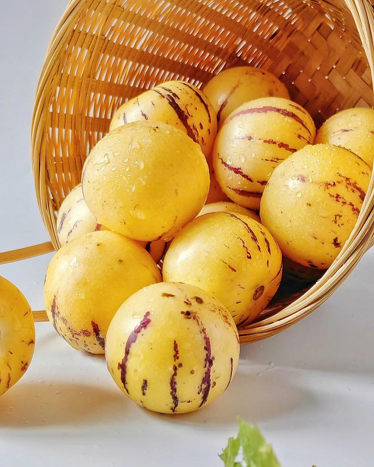 🏆🏆 Najpredávanejší TOP 1!🌿✨(Časovo obmedzená ponuka: hnojivo zadarmo) Semená ženšenu: Objavte silu prírody vo svojej záhrade! 🔥