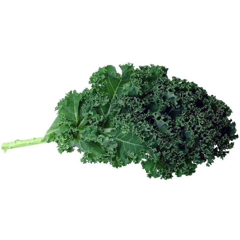 Kale – Jedlý aj okrasný | Výber z viacerých farebných odrôd | Mrazuvzdorný, vitamínový, nenáročný na pestovanie