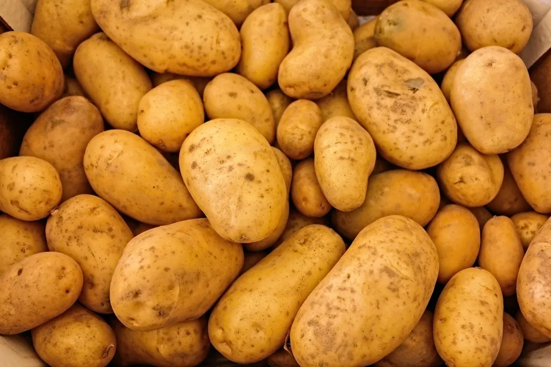 Semienka zemiakov, ktoré rastú na stromoch 🥔 Zemiaky pre lenivých