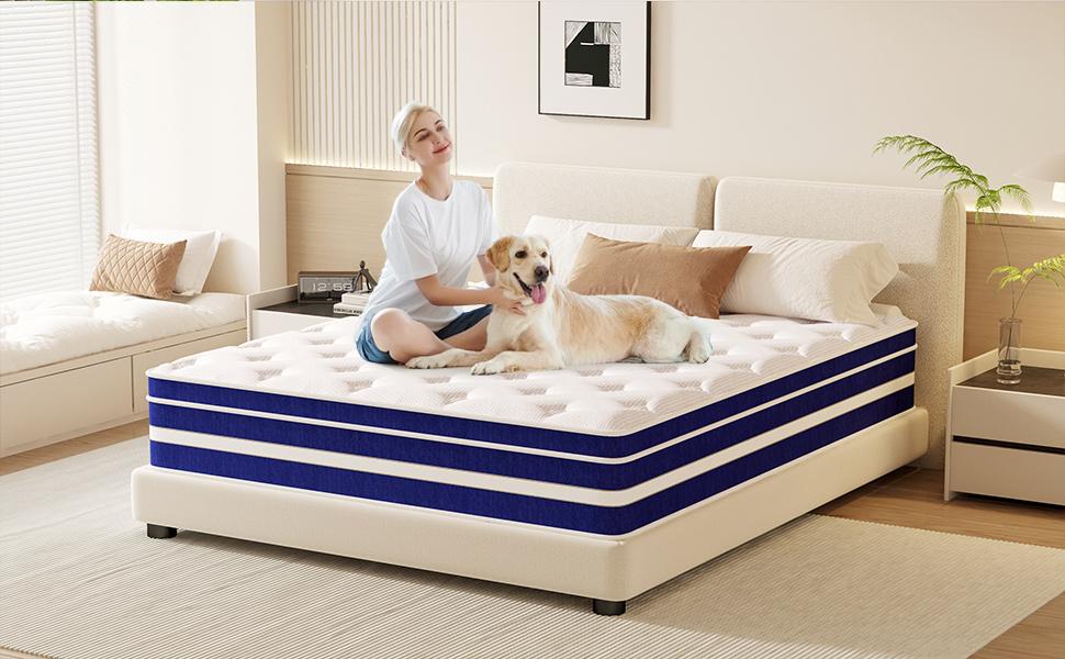 FVBEAYA 12/14-Inch Twin, Full, Queen, King, Memory Mattress with Independent Springs, Provides Pressure Relief, Motion Isolation and Firm Edges, Medium Firmness, Breathable and Washable, 100 Trials, Spring Mattress in a box ,Gel infuse memory foam