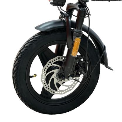 Bicicleta Plegable Iron Hide 400W 40KM 3 Velocidades Freno de disco Bateria Extraible