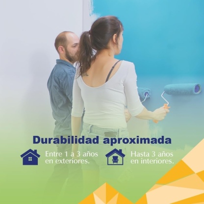 PINTEX Kit Pinta-me Pintura Vinil-Acrílica 19 L | Incluye Brocha, Mini Rodillo, Felpas, Masking Tape y Plastiprotector | Acabado Mate | Fácil Aplicación | Interiores y Exteriores | Verde Manzana