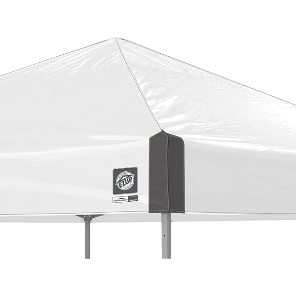 Toldo de Refugio instantáneo, 10 x 10 pies, Bolsa de Rodillo y Juego de 4 Pinchos, Pizarra Blanca Blanco pizarra Toldo de refugio