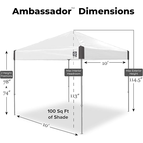 Toldo de Refugio instantáneo, 10 x 10 pies, Bolsa de Rodillo y Juego de 4 Pinchos, Pizarra Blanca Blanco pizarra Toldo de refugio